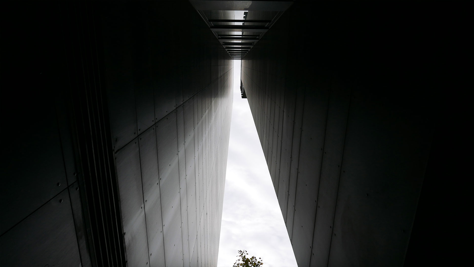 c65d5a84906239.5d6c0a9262c13